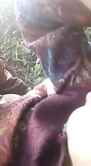 インド人desi屋外セックス | xHamster