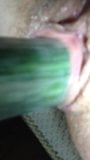 cucumber pussy snapshot 7