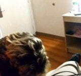 BBW-MILF gibt einen Blowjob in einem Hotel snapshot 5