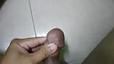 Solo masturbation malay cumshot snapshot 4