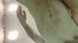 Chubby Bear Cub Swimming Naked Underwater, Video In Slow Motion snapshot 1