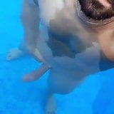 Wank my huge cock in the swimmingpool snapshot 4