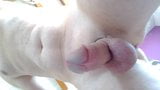 Small Penis and Balls snapshot 1