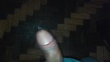 penis grande snapshot 9