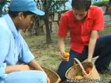 Buitenshuis picknick pik zuigen latino's snapshot 3