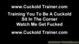 You don’t have a choice when it comes to being my cuckold snapshot 3