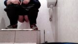 Hot milf pissing in public toilet snapshot 8