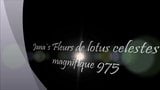 Fleurs de lotus celestes et magnifique 973 snapshot 1