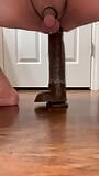 15-zoll-dildo snapshot 7