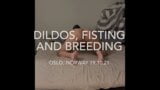 Dildos, fisting and breeding. snapshot 1