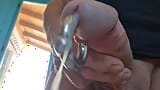 Wanking prins Albert pierced cock and cum snapshot 3