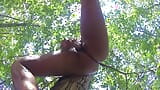 HD - Layla Perez beklimt een boom en speelt met haar poesje snapshot 12