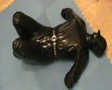 Slave as hogsacked rubber puppy snapshot 16