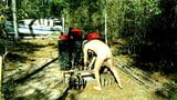 Barn Find Antique 8 Disk Harrow snapshot 8