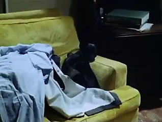 Dolce Calda Lisa 1980 Porn Videos | xHamster