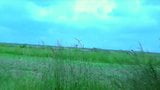 mature gets crampied then fisted in a field snapshot 2