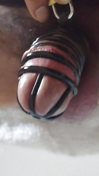 Chastity cage after a week of sissy training, dreaming of a daddy's cock