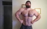 Hairy muscle bear snapshot 6