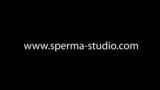 Sperma, Sperma, Abspritzen und tolle Creampies, Zusammenstellung 14 - 10923 snapshot 10