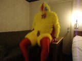 Chicken Costume on table snapshot 1