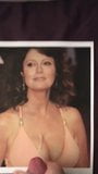 Meine erste Hommage an Susan Sarandon snapshot 2