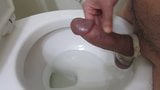 Tortured cock cums into toilet snapshot 7