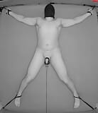 experiment: testicles electro stimulation snapshot 2