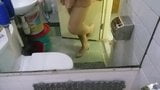 Beige Patent Pumps with Pantyhose Teaser 38 snapshot 8