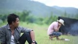 Gunung Brokeback da thailandia snapshot 8