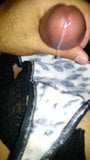 Jerking in my girlfriend's used panties snapshot 8