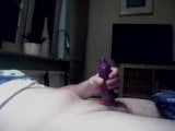 Toy play cock snapshot 1