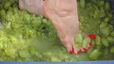 Feet with Long Red Toenails Stomping Green Grapes (II part) snapshot 6