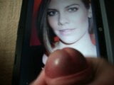 Homenagem a Lauren Cohan snapshot 2