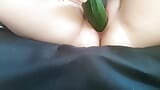 BBW Cucumber snapshot 3