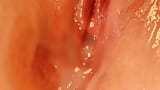 Pussy Close Up and Fingering Pussy snapshot 6