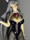 Figure bukkake(ikkitousen shiryu choun bunny ver) snapshot 5