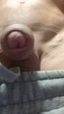 small shaven uncut cock tease snapshot 4