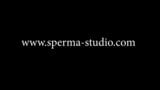 Cum cum orgía para puta jj & sunny sun - sperma -studio 10817 snapshot 10