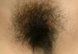 NICE AMATEUR’S HAIRY PUSSY snapshot 12