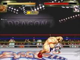 Zangief kontra Touhou snapshot 8