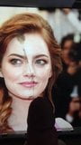 Tribute to Emma Stone snapshot 3