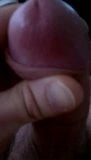 precum snapshot 1