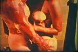 Seksgekke sletten uit de jaren 60 - (opgeschaald naar full HD) snapshot 2