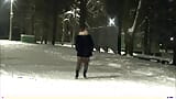 Caminhada de inverno. Noite de Ano Novo, caminhada com meia-calça de nylon sem saia snapshot 9