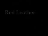 Rotes Solo aus Leder snapshot 1