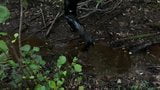 Vinyl mini skirt, thigh high boots in deep mud! snapshot 10