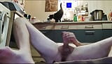 masturbating with Self-Hand-Job with my big, huge cock at home into my kitchen snapshot 13