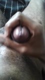 MY BIG, BLACK, FAT, HARD PENIS DRIPPING!. MORNING WOOD!... snapshot 10