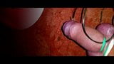 CBT 2 : Hard Bound Balls E-Stim Cum snapshot 3