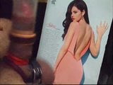 Selena Gomez ist ein sexy Sperma-Ziel snapshot 6